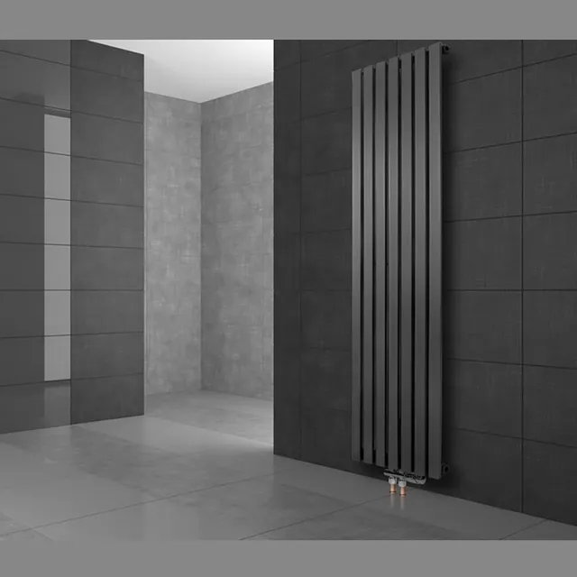 ECD Germany radiateur vertical Stella anthracite 260x1600 mm