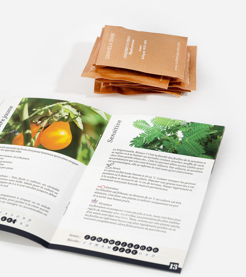 L'avant gardiste DIY Légumes insolites coffret graines original