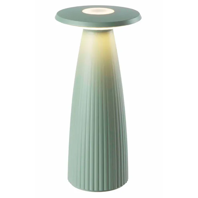 Red Deco Flora Mini Sauge lampe sans fil vase H20cm LED