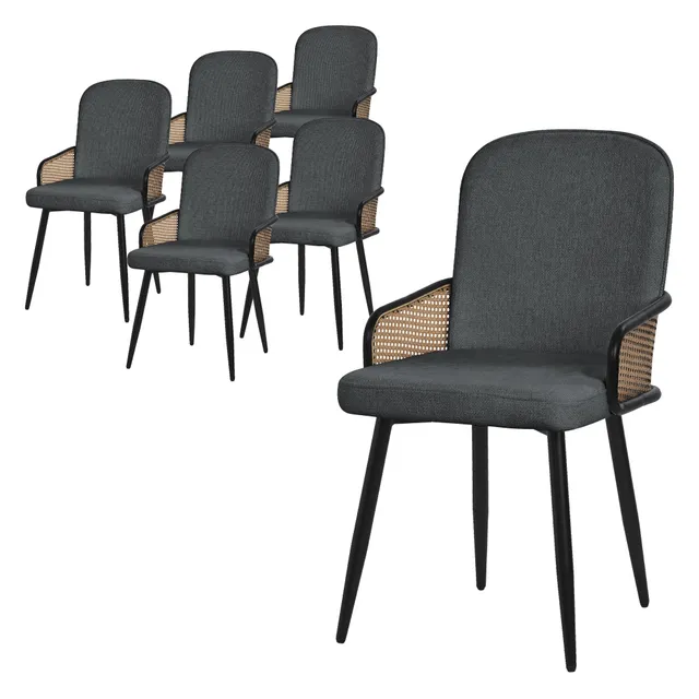 ECD Germany Möbel lot 6 chaises salle à manger anthracite rotin