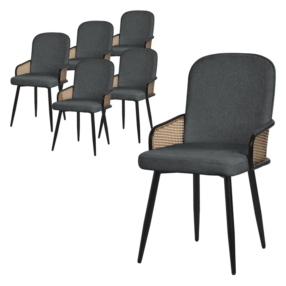 ECD Germany Möbel lot 6 chaises salle à manger anthracite rotin