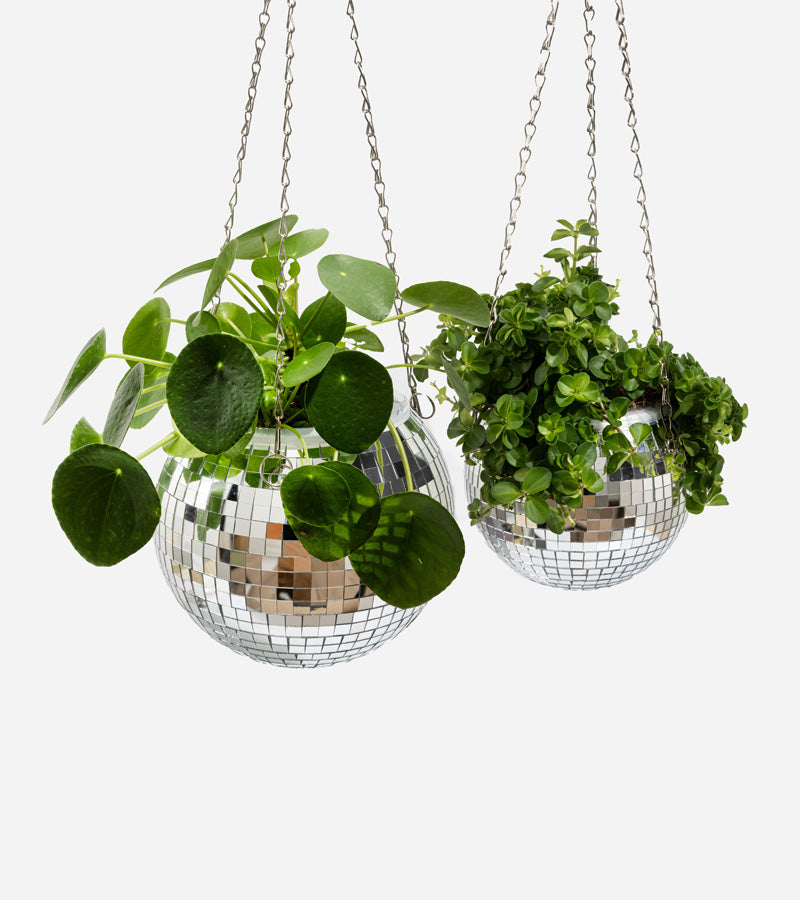 L'avant gardiste Disco pot plantes boule facettes 15cm