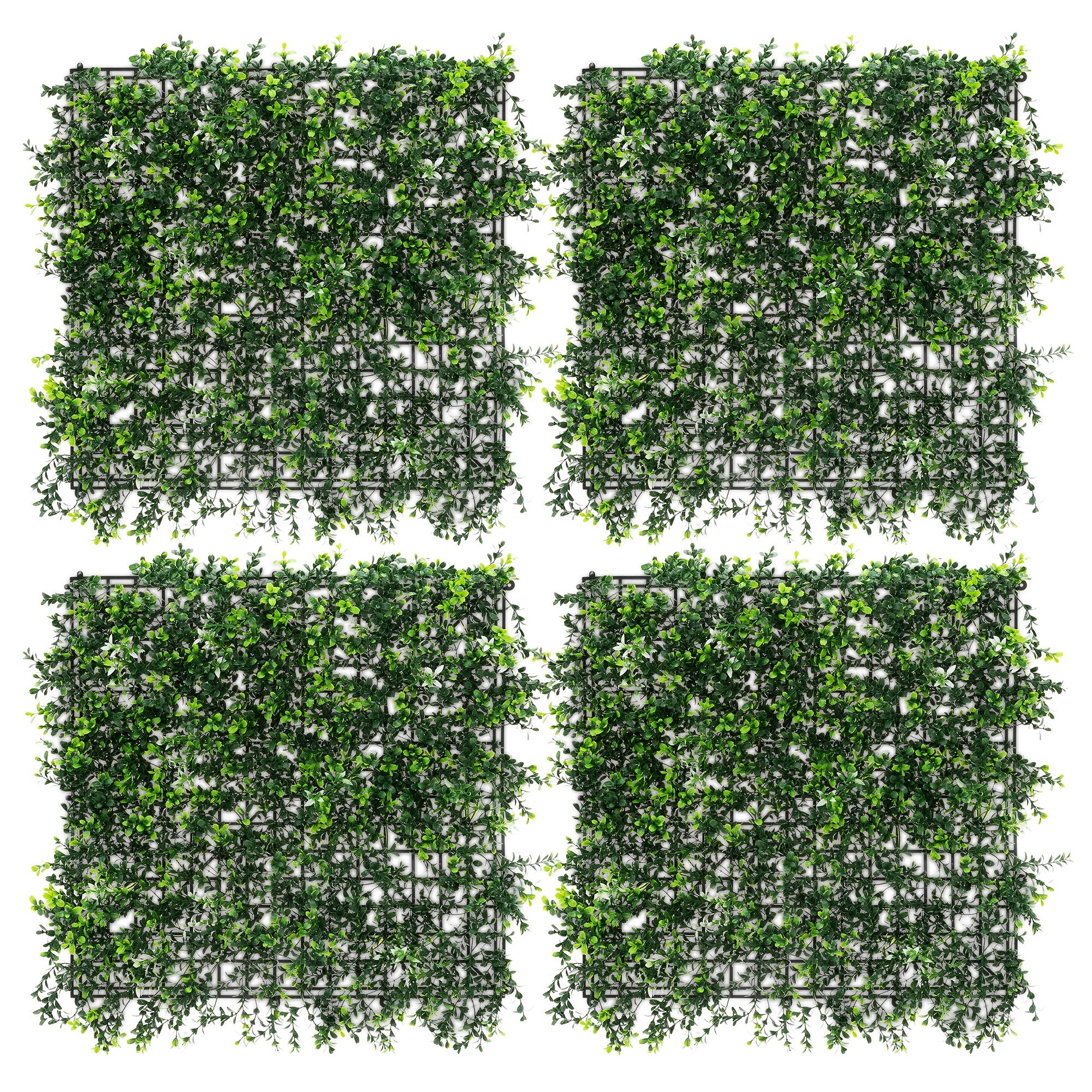 ECD Germany Haus & Wohnen Pachysandra mur végétal 4x50x50 vert