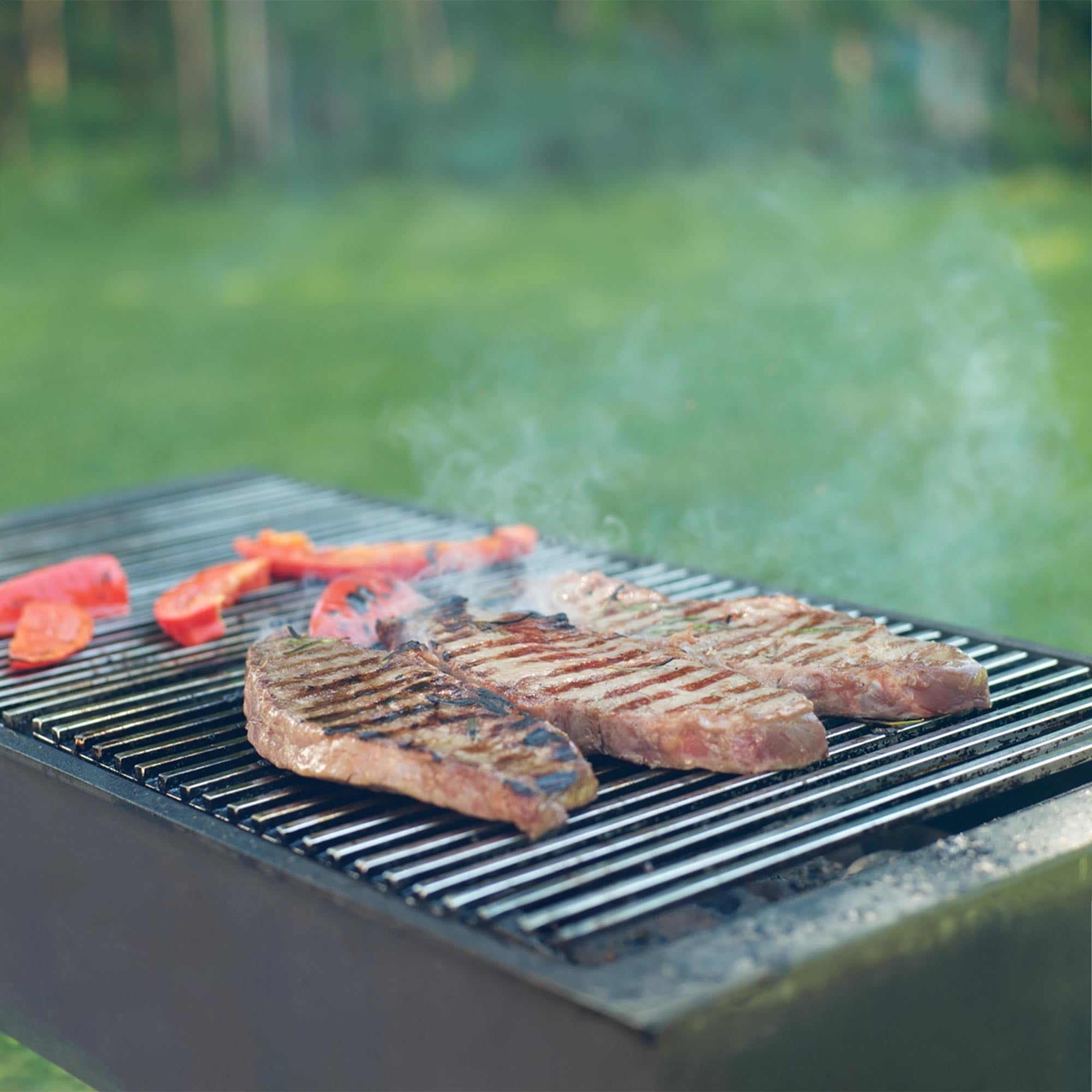 ECD Germany Grill grille barbecue inox 67x40 cm poignées
