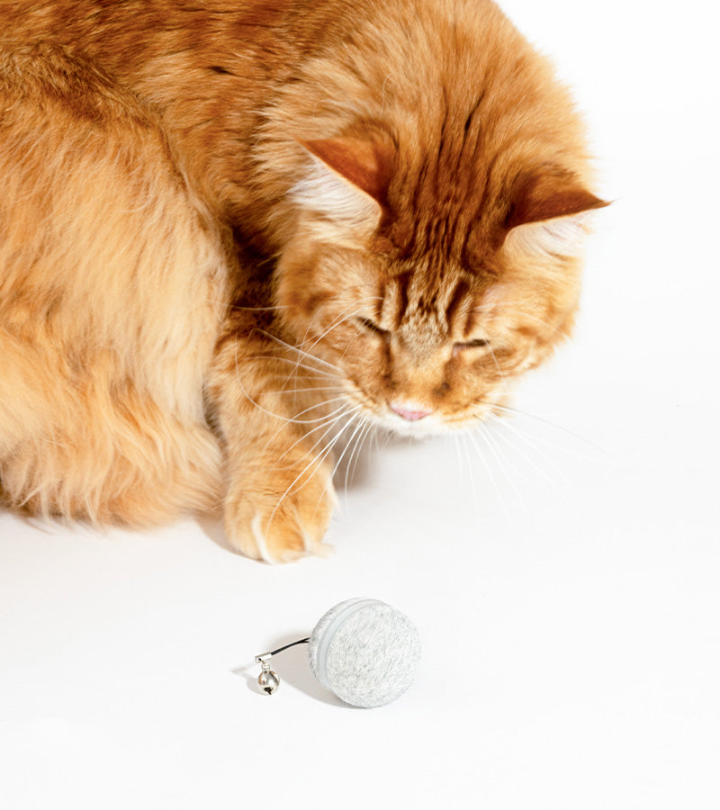 L'avant gardiste balle interactive pour chats LED USB
