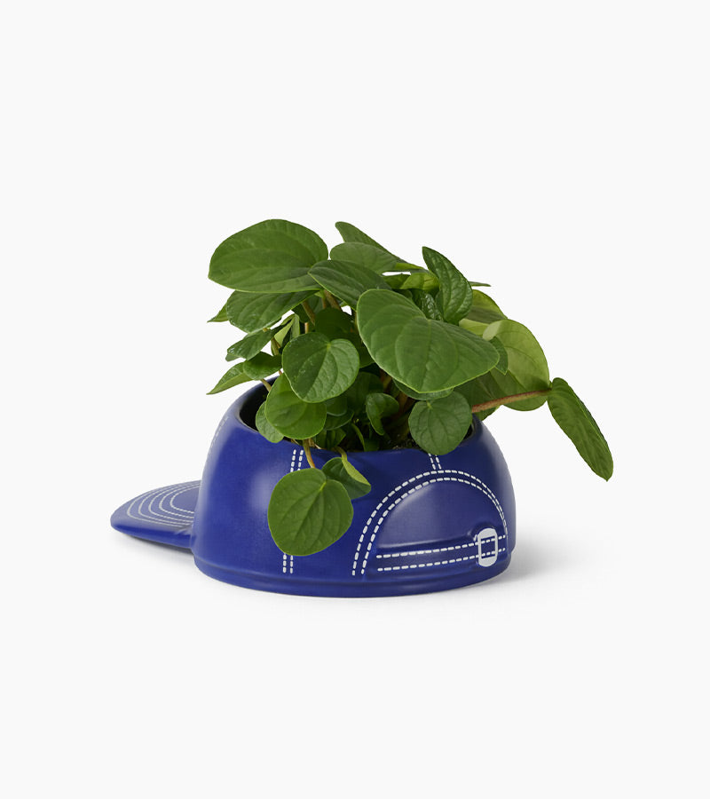 L'avant gardiste bol casquette baseball multifonctions snacks