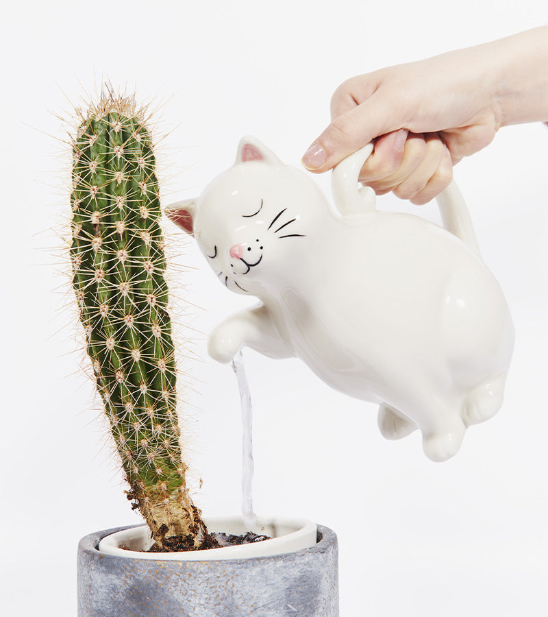 L'avant gardiste Outdoor Arrosoir Chat plantes intérieur
