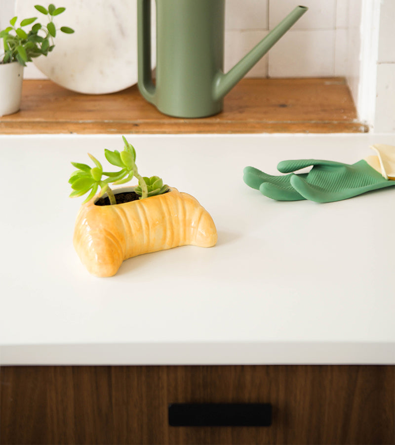 L'avant gardiste Croissant pot à plante doré petit-déj