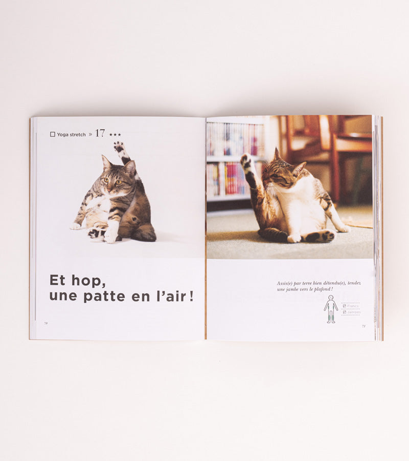 L'avant gardiste Yoga du Chat livre humour yoga félin