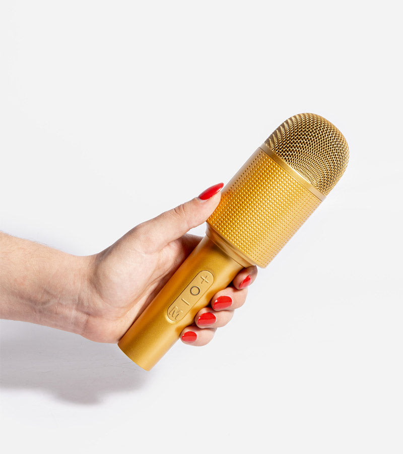 L'avant gardiste High-tech Micro enceinte karaoké Silver