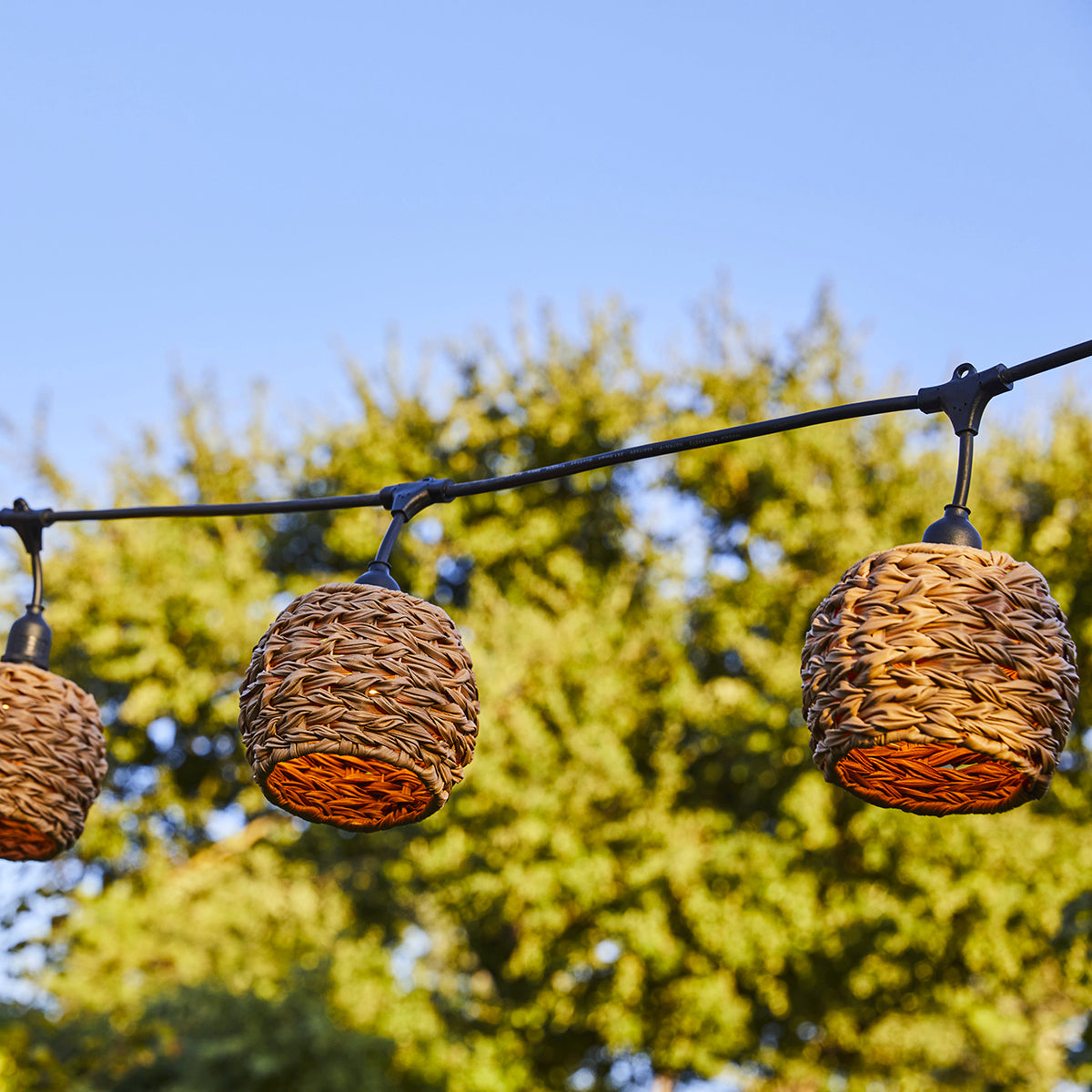 Red Deco Pine Light guirlande 6m rotin 7 ampoules blanc chaud