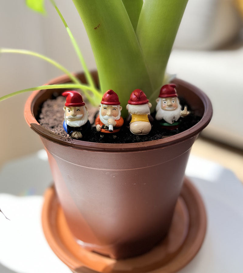 L'avant gardiste Outdoor mini gnomes jardin effrontés