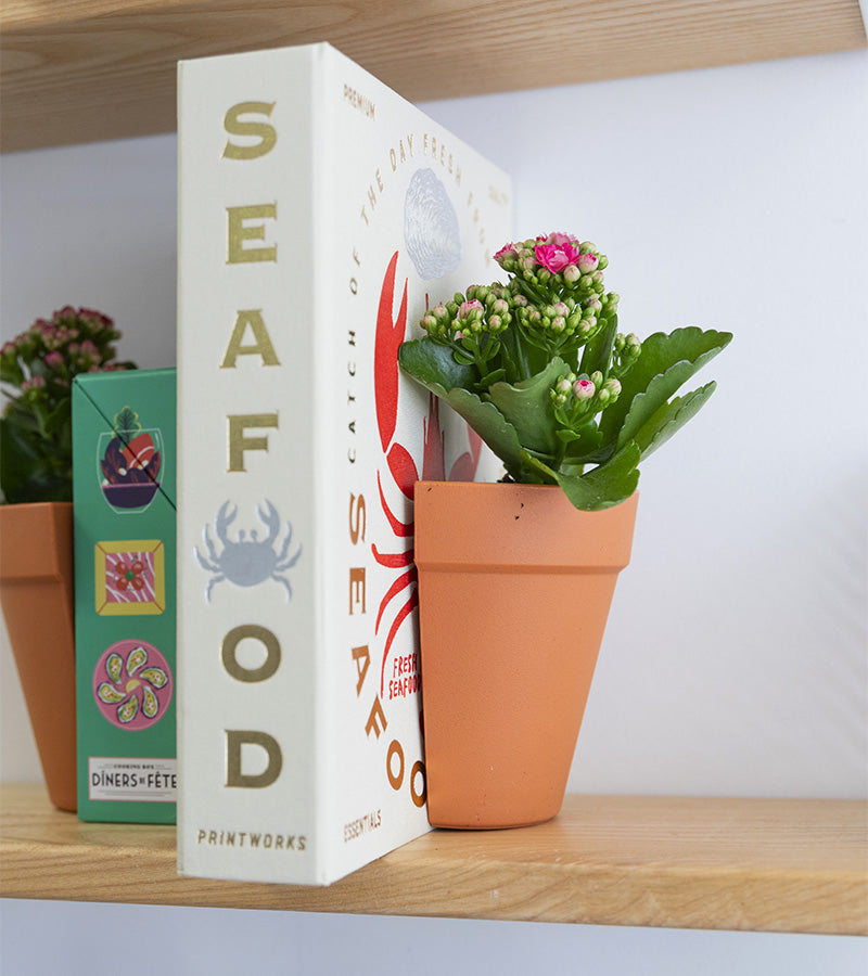 L'avant gardiste Serre-livres 2 en 1 pot à plantes lot 2
