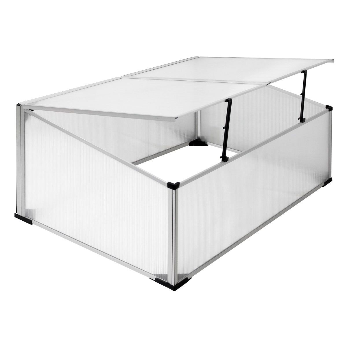 ECD Germany Garten Mini serre châssis 100x60x40 cm alu polycarbonate