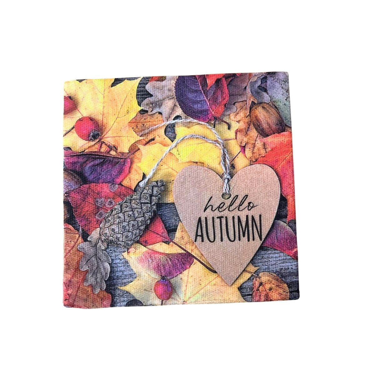 Serviettes papier Bonjour automne 38x38 lot 20