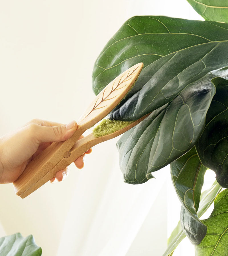 L'avant gardiste Pince Nettoyage Feuilles bambou microfibre