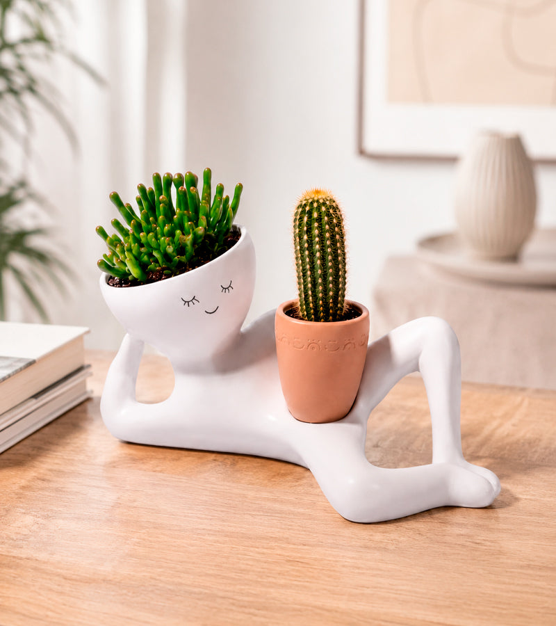 L'avant gardiste bonhomme paresseux pot plante succulentes