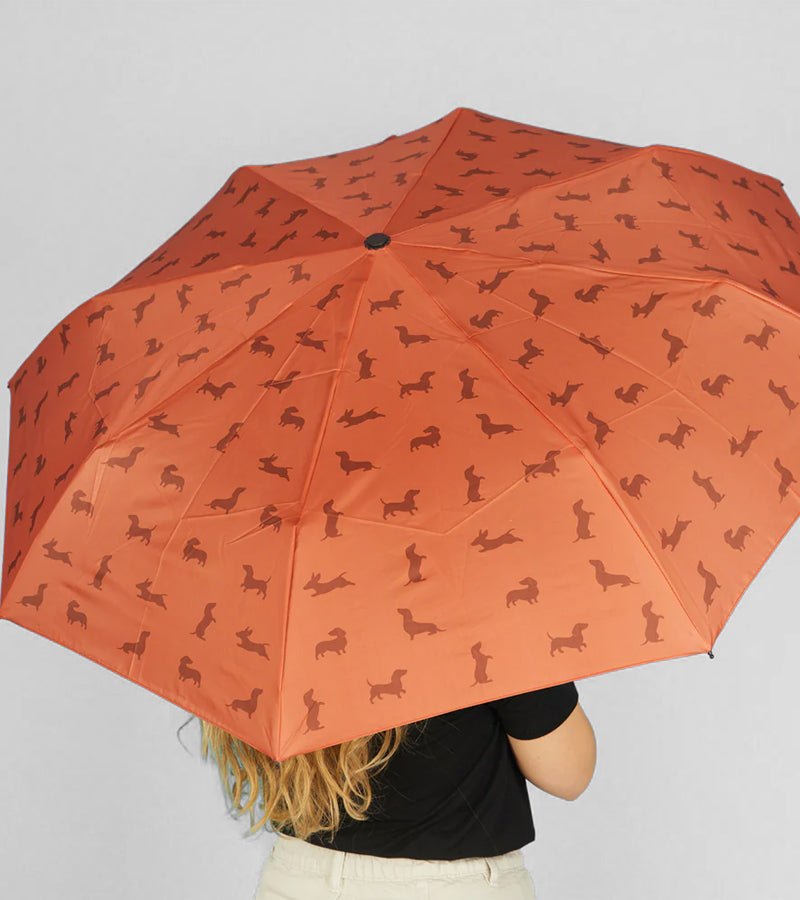 L'avant gardiste Teckel parapluie long femme